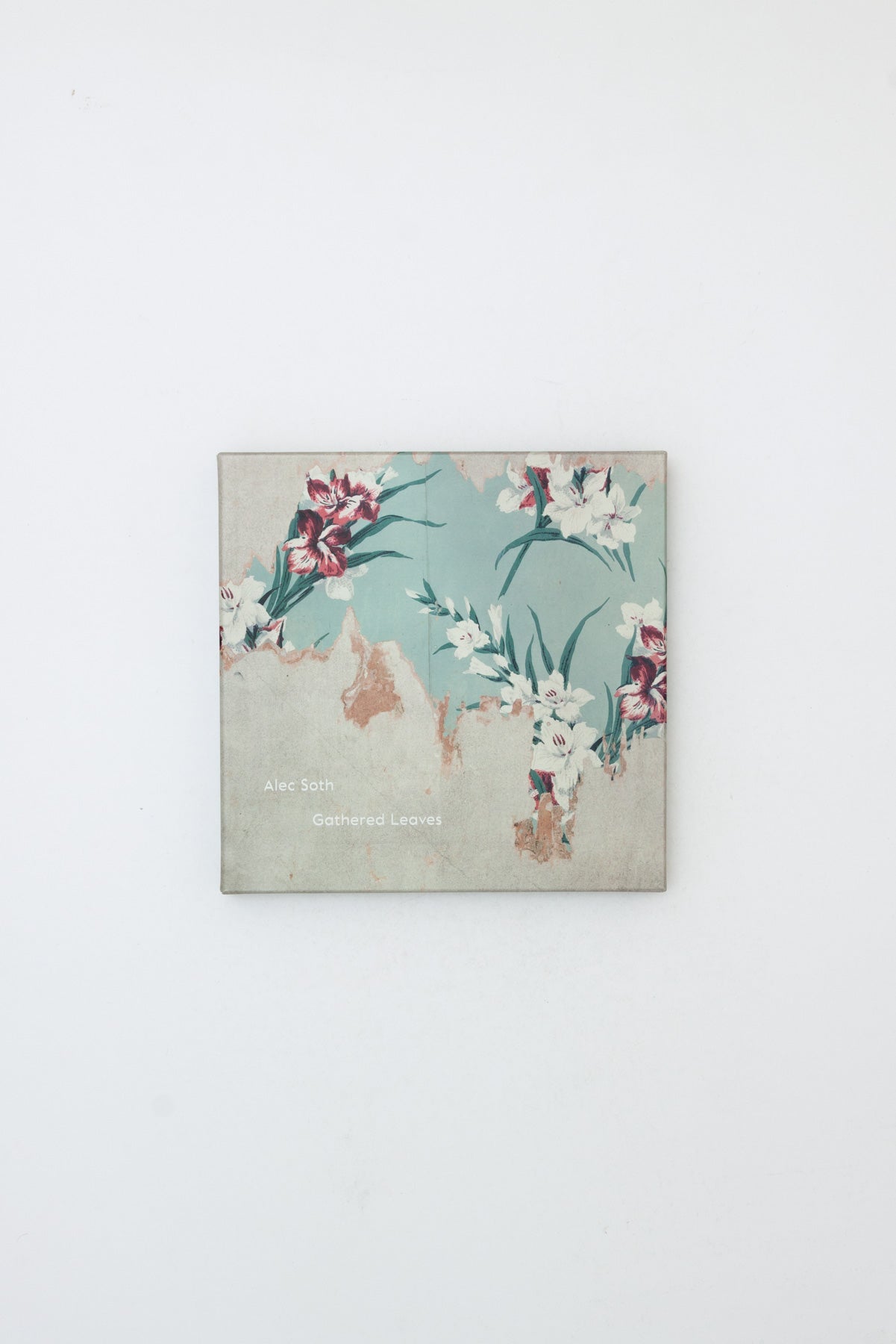 Gathered Leaves - Alec Soth