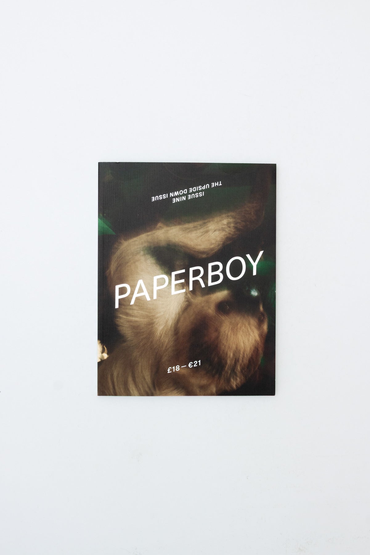 Paperboy Magazine Issue 9
