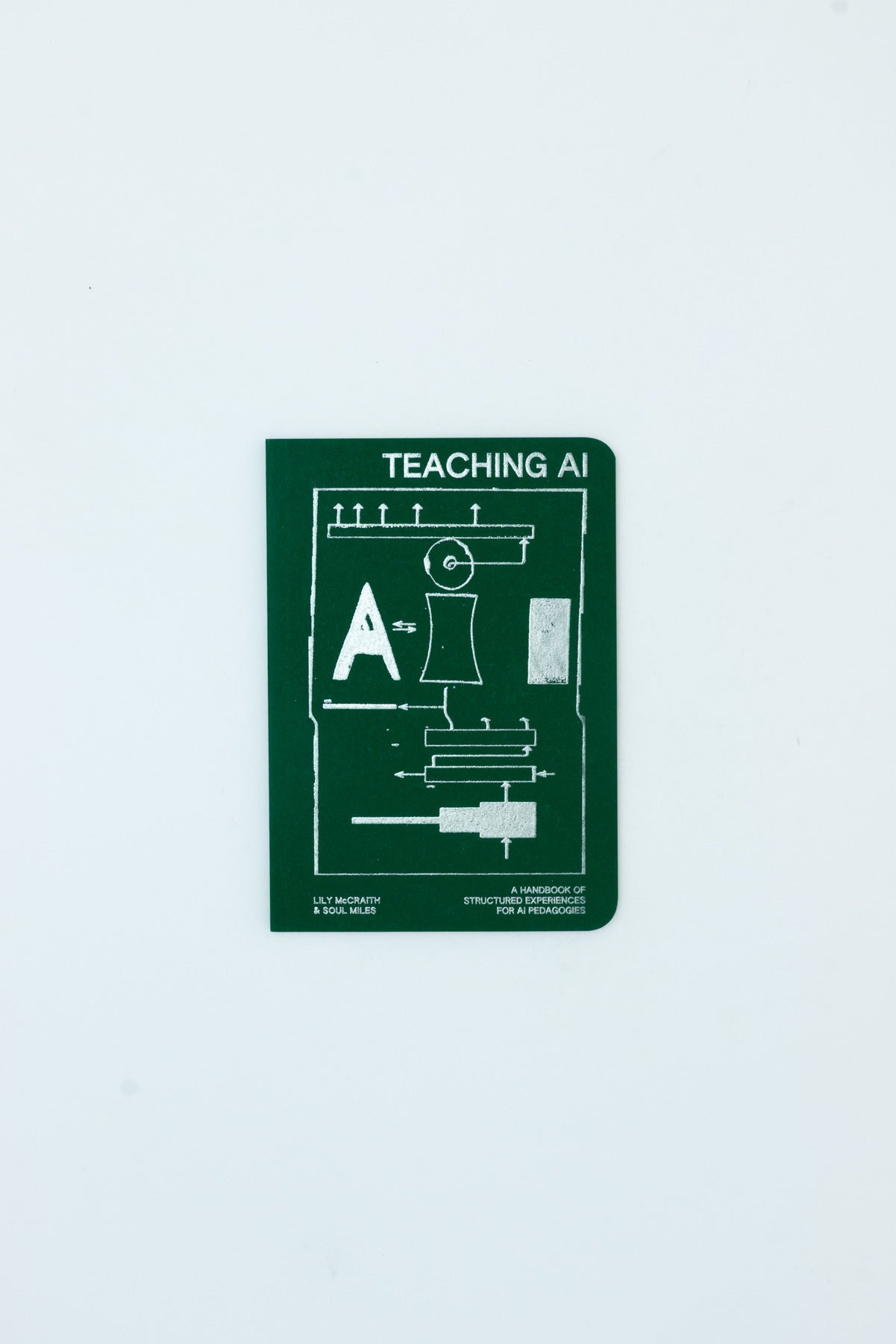 Teaching AI - Lily McCraith & Soul Miles