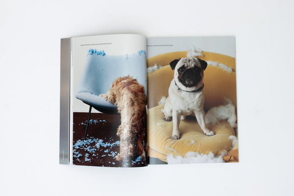 Paperboy Magazine Issue 9