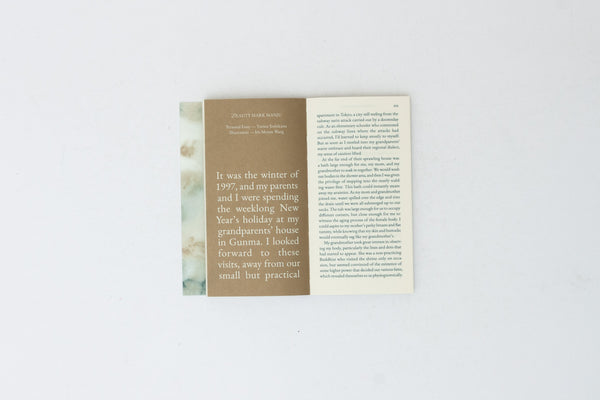 Cake Zine. Volume 8: Spoiled Rotten.