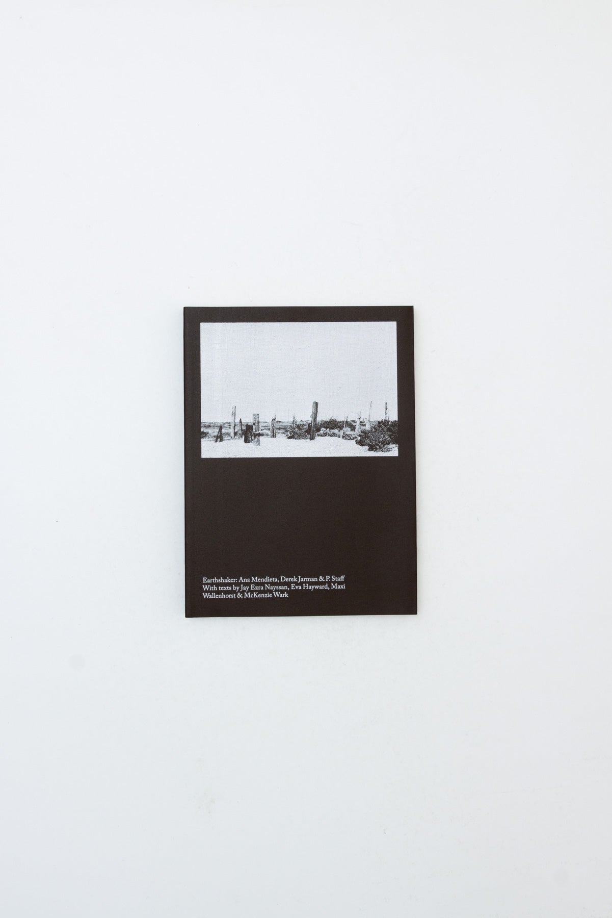 Earthshaker: Ana Mendieta, Derek Jarman & P. Staff