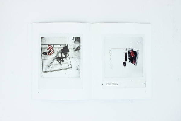 Cady Noland Polaroids 1986-2024