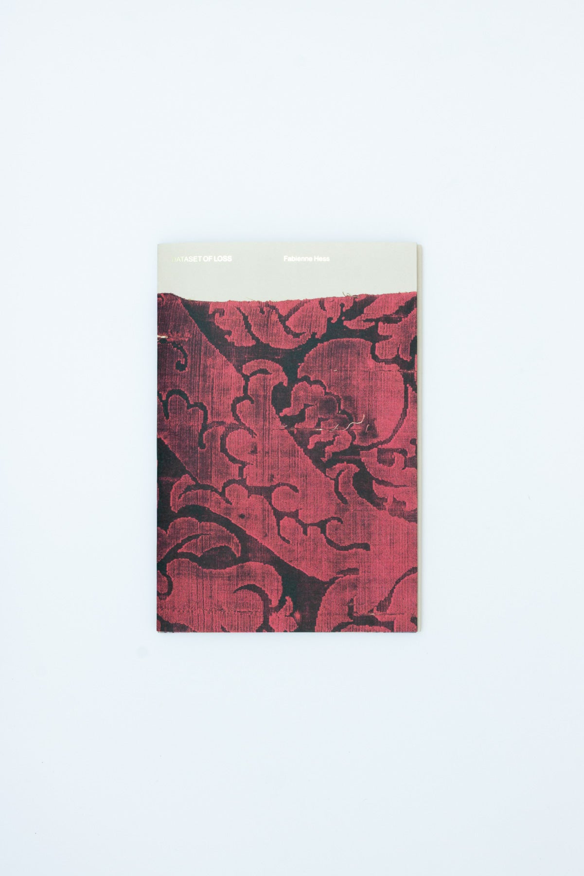 Dataset of Loss - Fabienne Hess