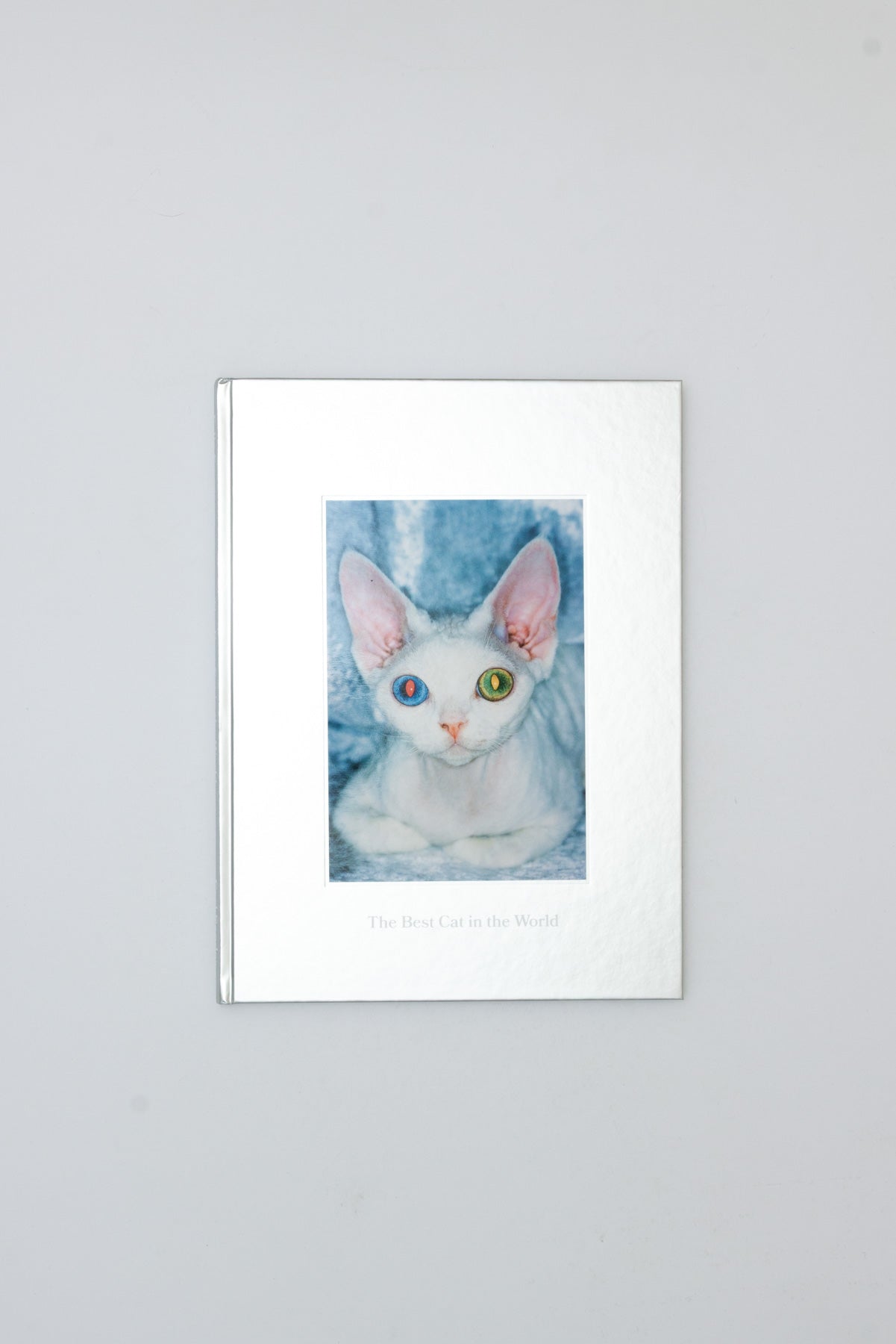 The Best Cat in the World - Felix Swensson & Carl Sander