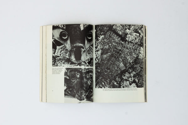 Simulacra. Faces and Figures in Nature.