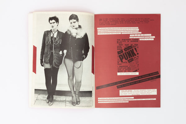 Not Another Punk Book - Isabelle Anscombe