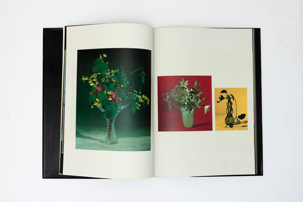 Ikebana - Sofu Teshigahara