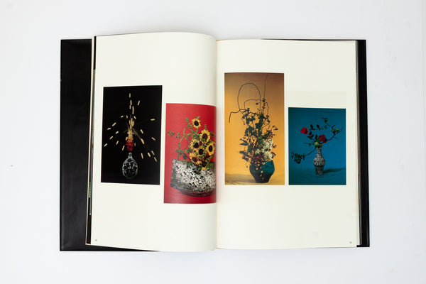 Ikebana - Sofu Teshigahara