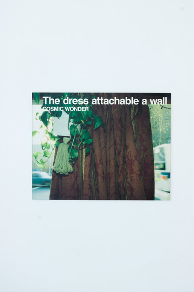 Cosmic Wonder. The dress attachable a wall.