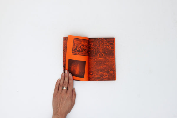 A Tree, A Reader on Arboreal Kinship - Marjolein van Der Loo