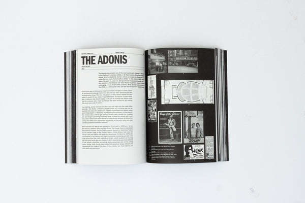 Cruising Pavilion: Architecture, Dissident Sex and Cruising Cultures - Pierre-Alexandre Matteos