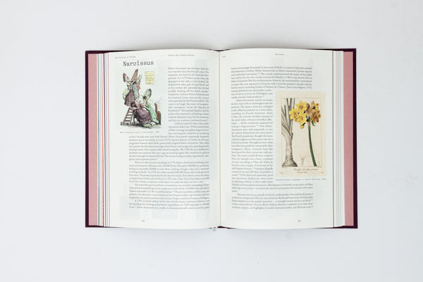 The Cultures of Perfume: Scents that Shaped History - Saskia Wilson-Brown