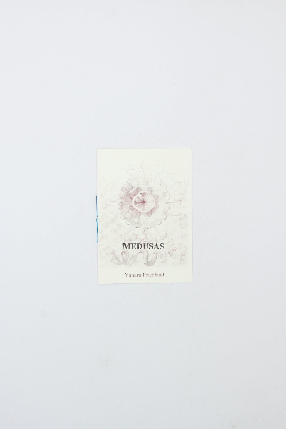 Medusas - Yanara Friedland