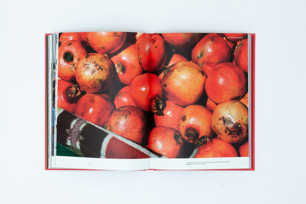 Sahten - The SkatePal Cookbook