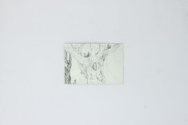 Squirrels, The Dog and The Girl - Yanru Lin