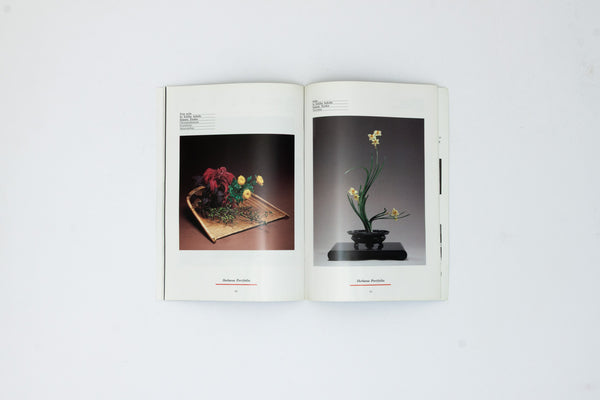 Seven Issues of Ikebana International Magazine.