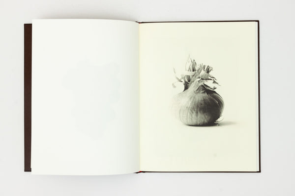 Time in Air, Time in Paper - Sachiko Morita
