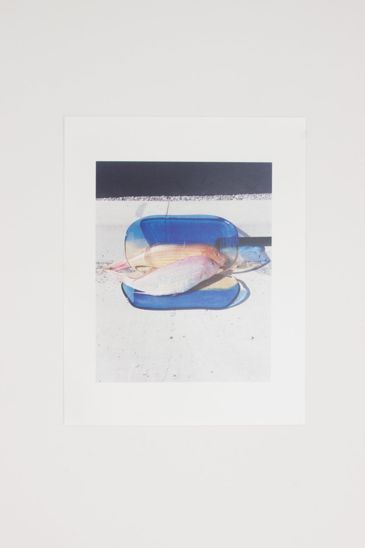 Naohiro Harada Special Edition Print