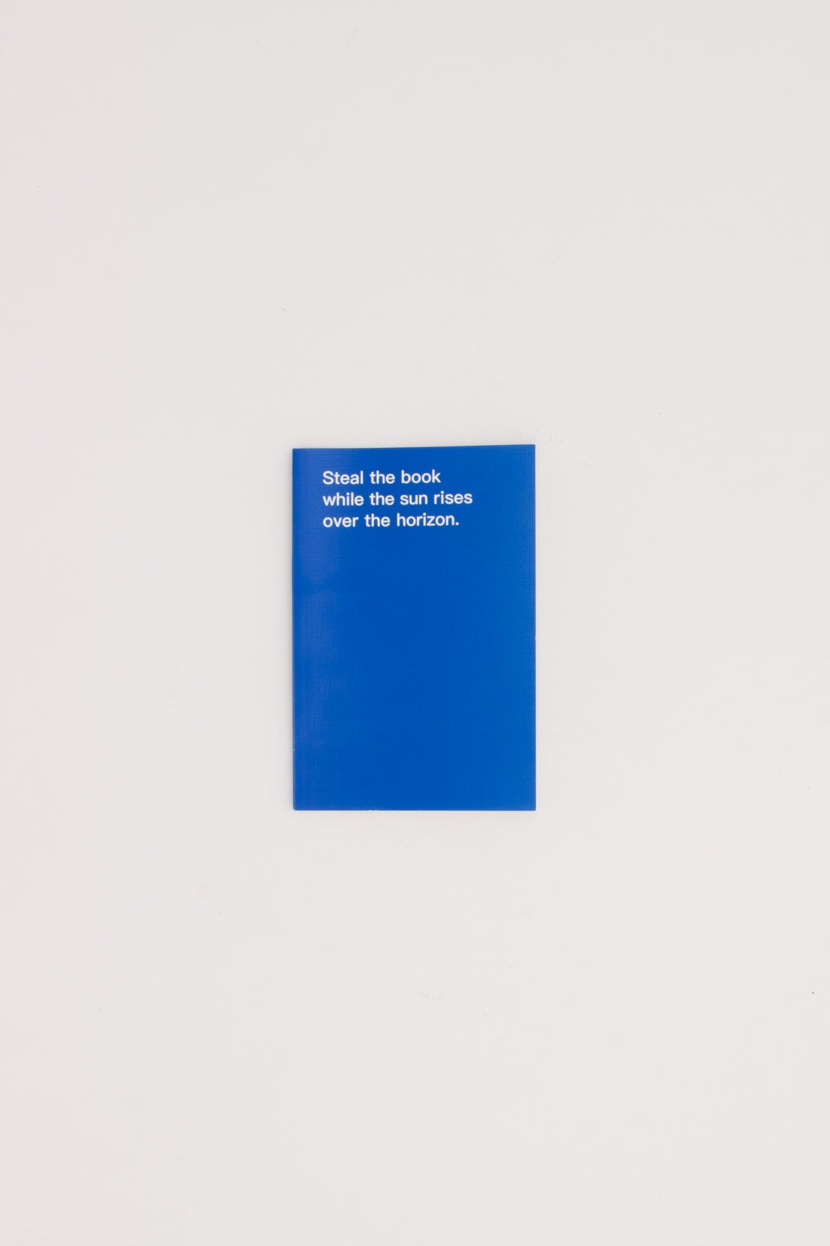 How to shoplift books - David Horvitz